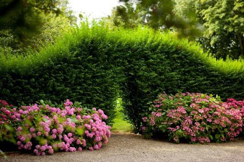 Bed & Breakfast Ch�teau De La Marine