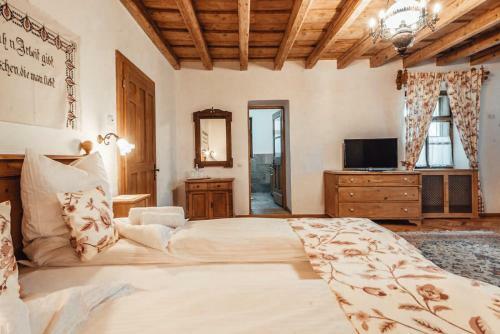Hostal Pensiunea Zidul Cet??ii