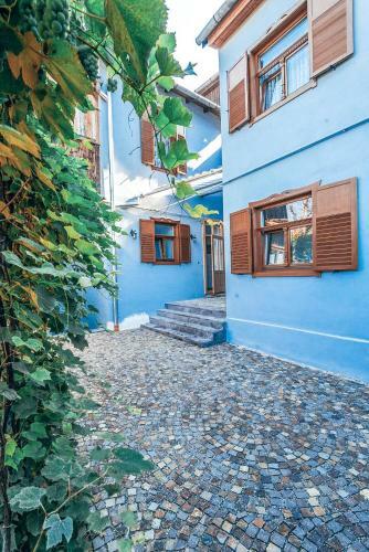 Hostal Pensiunea Zidul Cet??ii