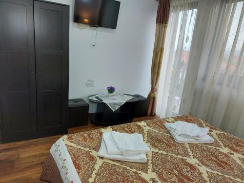 Hostal Pensiunea Albina