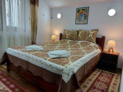 Hostal Pensiunea Albina