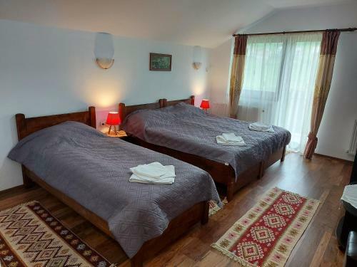 Hostal Pensiunea Albina