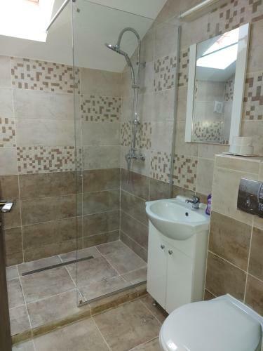 Hostal Pensiunea Albina