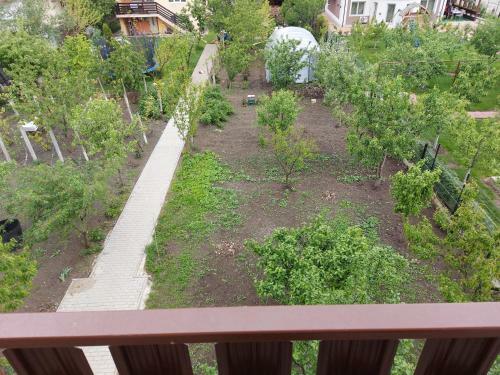 Hostal Pensiunea Albina
