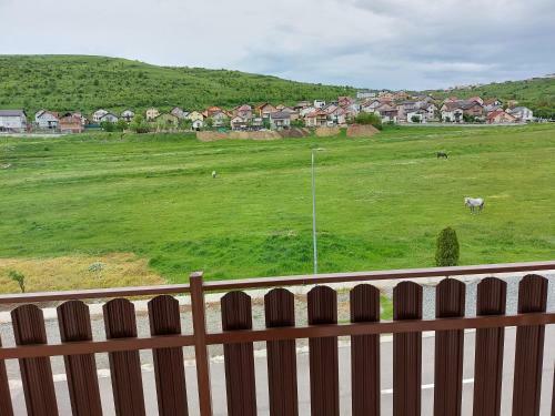 Hostal Pensiunea Albina