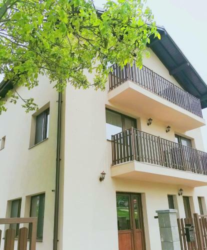 Hostal Pensiunea Albina