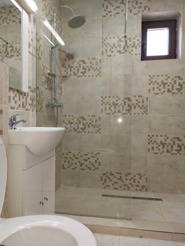 Hostal Pensiunea Albina