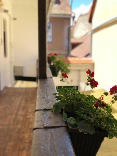 Musik Apartments Old Town