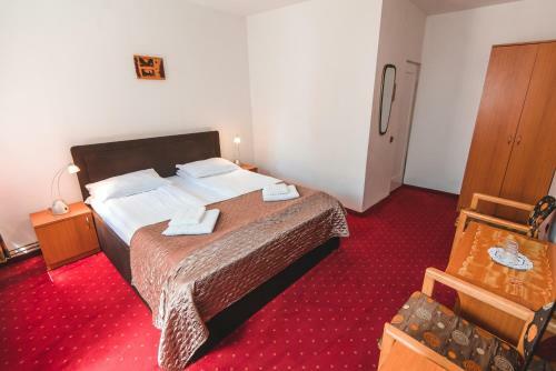 Hostal Guesthouse Casa Baciu