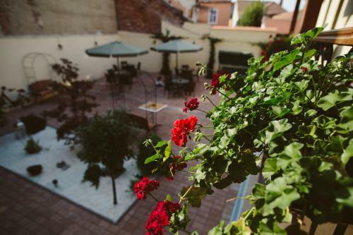 Hostal Rosen Villa Sibiu