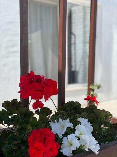 Apartamento Bukhta
