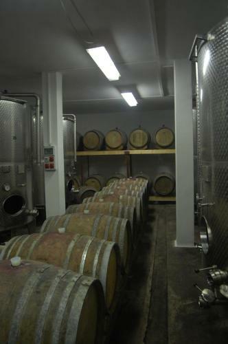 Hostal F�nyes Vinorium Panzi�
