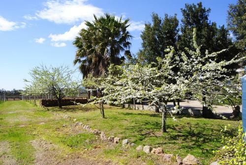 Agroturismo Agriturismo Graziano E Barbara