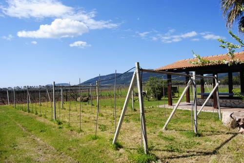 Agroturismo Agriturismo Graziano E Barbara