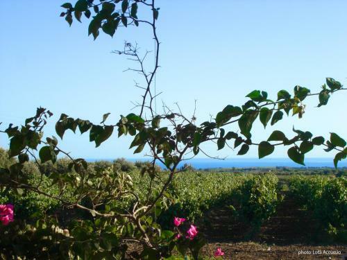 Hotel Villa Fiori Beach