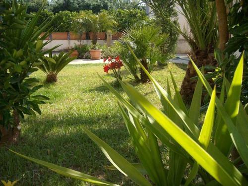 Hotel Villa Fiori Beach