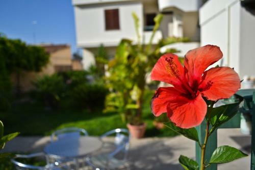 Hotel Villa Fiori Beach