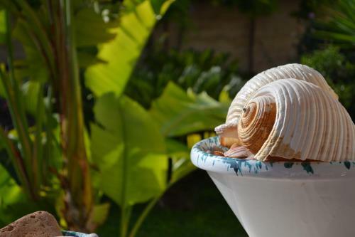 Hotel Villa Fiori Beach