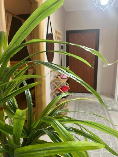Apartamento Appartment