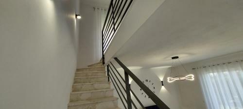 Villa Reina_lura3_gjiri Lalzit