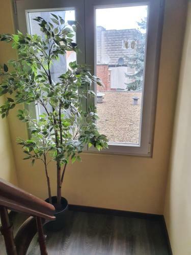 Apartamento Right Choice Studio