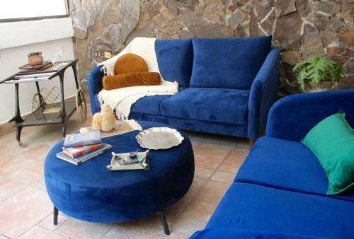 Casa Galgo: Full House To Live Cholula