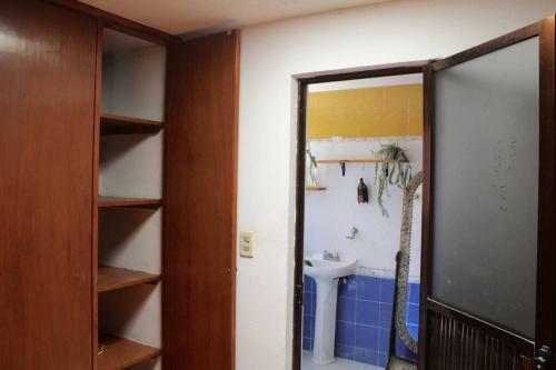 Casa Galgo: Full House To Live Cholula