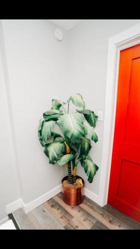 The Calder House (4 Bed Home)