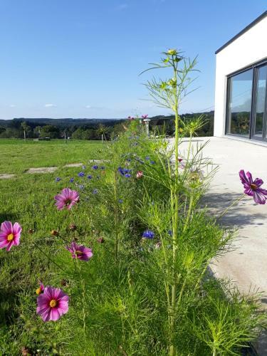 L'harmonie Du Jardin G�te