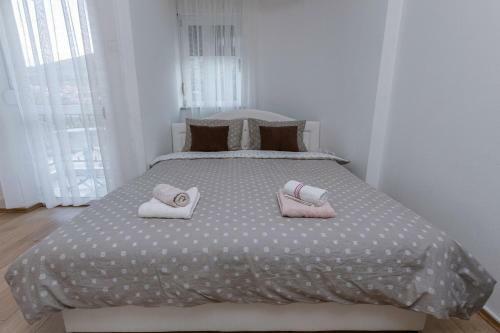 Apartman Dana