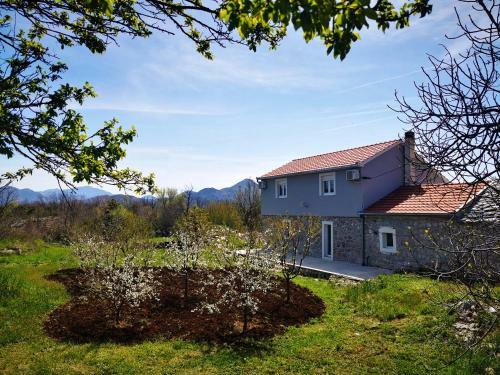 Apartmani Matej