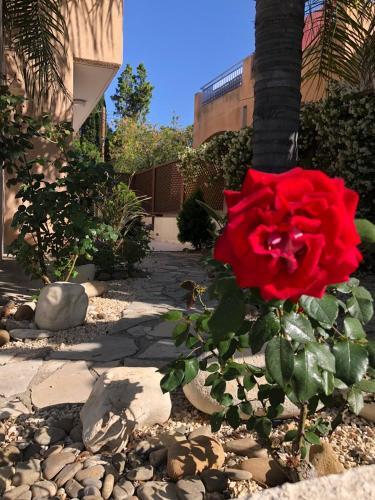 Town House, Ilios Ii, Kato Paphos