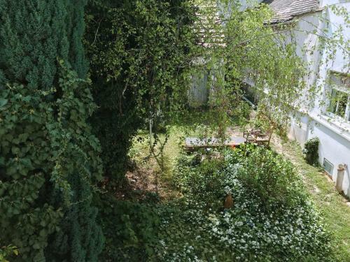 Ferienwohnung In Der Fu�g�ngerzone Gartenblick - Studio Apartment