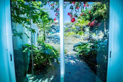 Apartamento El Card�n Agaete Valley Boyr