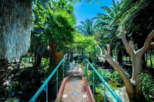 Apartamento El Card�n Agaete Valley Boyr