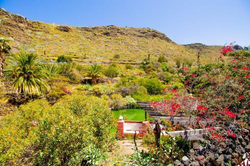 Apartamento El Card�n Agaete Valley Boyr