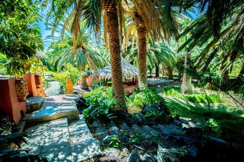 Apartamento El Card�n Agaete Valley Boyr