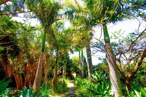 Apartamento El Card�n Agaete Valley Boyr