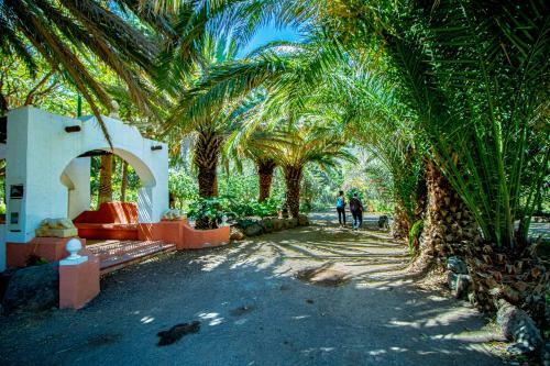 Apartamento Hibiscus Agaete Valley Hbab