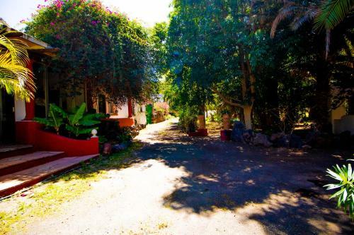 Apartamento Hibiscus Agaete Valley Hbab