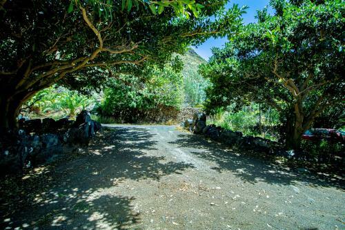 Apartamento Nen�far Agaete Valley Dmzu