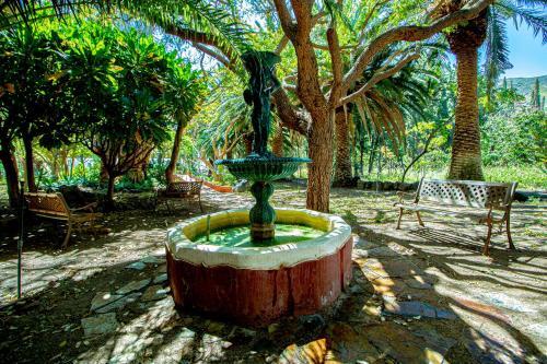 Apartamento Nen�far Agaete Valley Dmzu