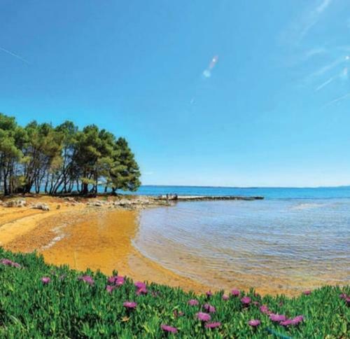 Villa Ku?a Za Odmor Tanja