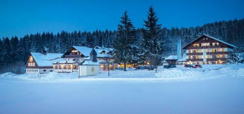 Wellness- Und Vitalhotel B�hmhof