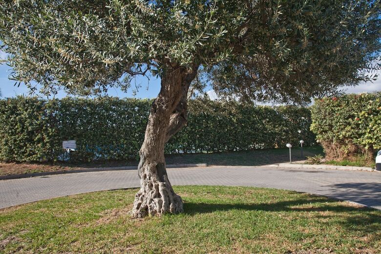 Hotel Stella Marina Sicilia