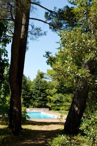 Bed & Breakfast Villa Gioia Civita