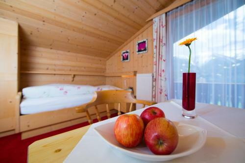 Bed & Breakfast Pension Alpenhof