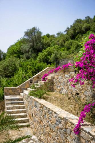 Katerina's Houses