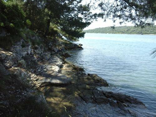 Apartamento Maistral