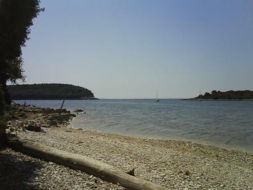 Apartamento Maistral